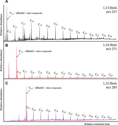 Fatty acids, alkanones and alcohols from a major lower Triassic low-permeability petroleum reservoir